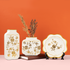 The Casablanca Chevron Decorative Ceramic Vase Set of 3 - White
